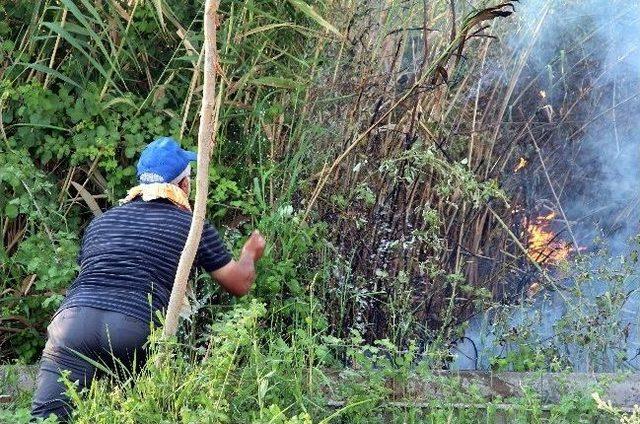 Astim Osb İçerisndeki Bataklık Aland Açıkan Yangın Korkuttu