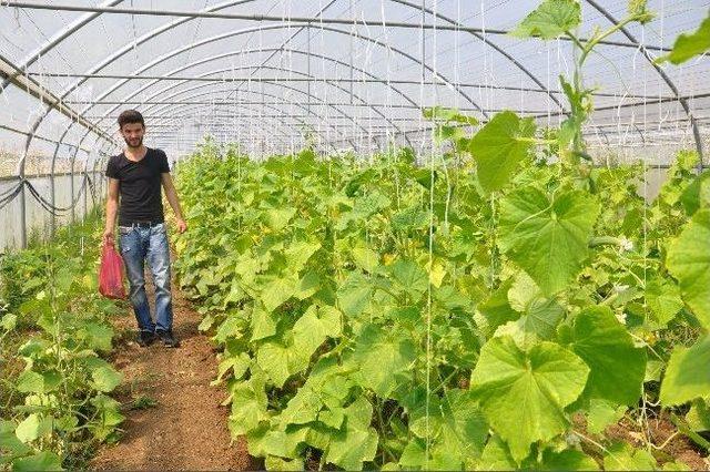 (&ouml;zel Haber) Hem Ders Hem Organik Yaşam 1