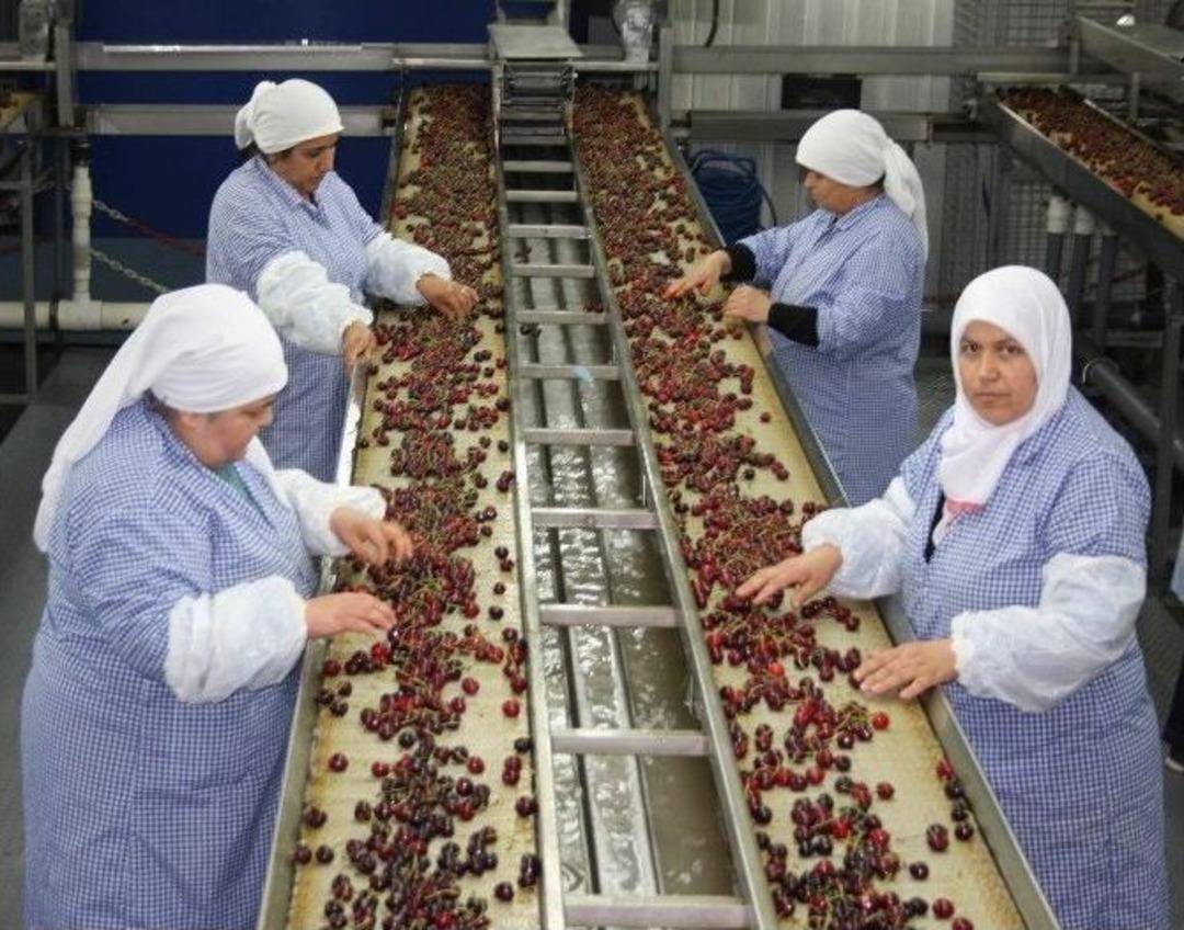 (&ouml;zel Haber) &Ccedil;inliler Bursa Kirazı Yiyecek