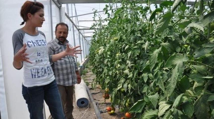 Tar-gel Projesi &Ccedil;ift&ccedil;inin Gelirini Katladı