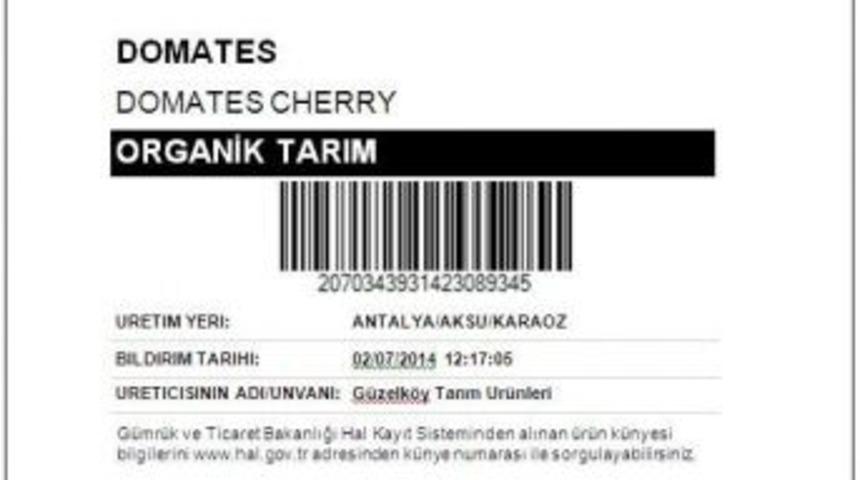 Sebze Ve Meyvede K&uuml;nye D&ouml;nemi