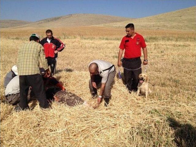 Kayıp Kadını Jandarma K&ouml;peği Buldu 1