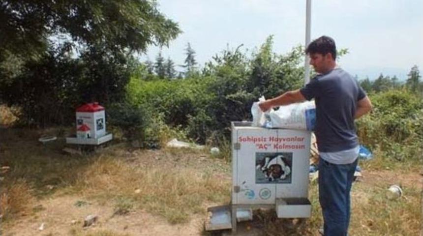 Sahipsiz Sokak K&ouml;peklerine Yem Bırakıldı