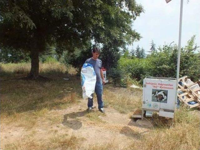 Sahipsiz Sokak K&ouml;peklerine Yem Bırakıldı 1