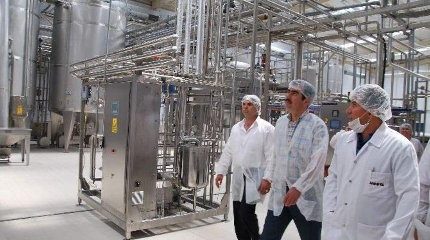 S&ouml;keli Moova&rsquo;yı Ko&ccedil; Grubu Satın Aldı