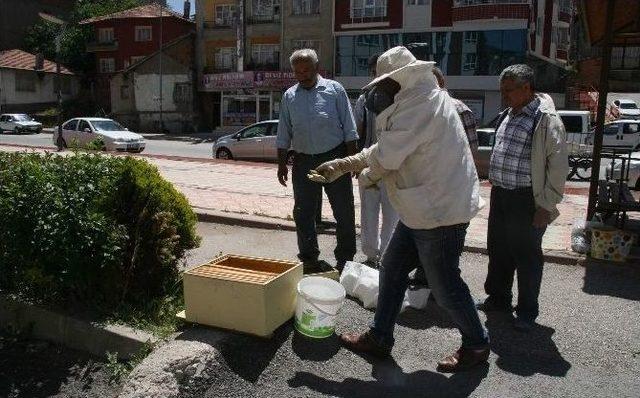Yozgat Arıların İstilasına Uğradı 2