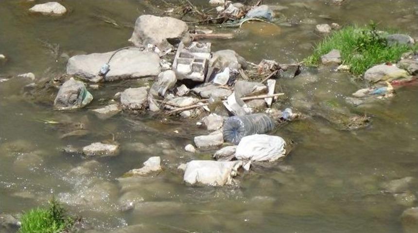 Kars &Ccedil;ayı Etrafa Pis Koku Sa&ccedil;ıyor