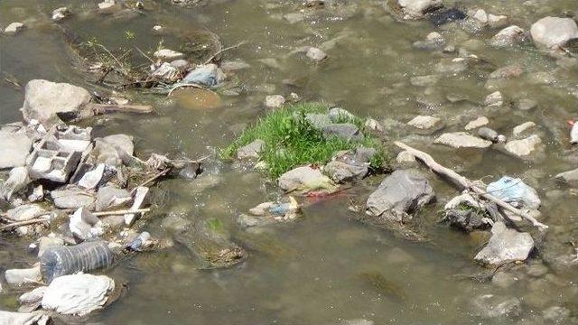 Kars Çayı Etrafa Pis Koku Saçıyor