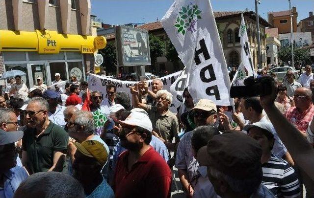 Chp’li Pavey’e Hdp’lilerden Protesto 1