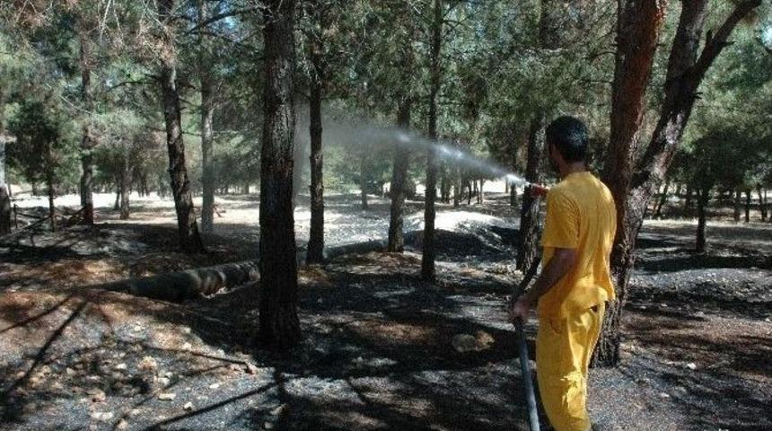 Adıyaman&rsquo;da, 15 D&ouml;n&uuml;m Ormanlık Alan Yandı