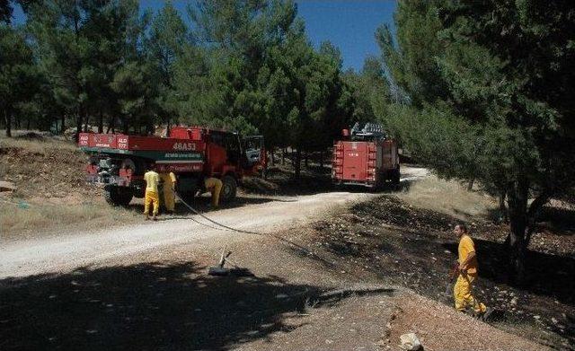 Adıyaman’da, 15 Dönüm Ormanlık Alan Yandı 1