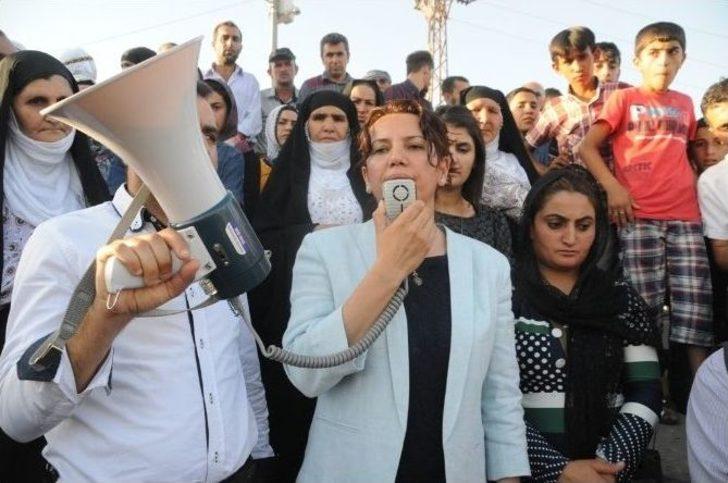 Hdp Milletvekili Irmak, Pkk’lının Anma Törenine Katıldı G4