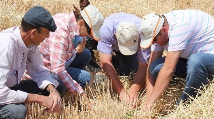 &Ccedil;ift&ccedil;ilere Dane Kaybı Uyarısı