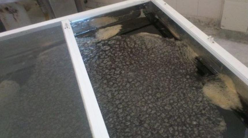 Bir Bu&ccedil;uk Ton Sahte Bal Ele Ge&ccedil;irildi