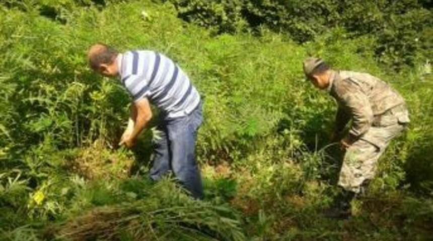 14 Bin K&ouml;k Hint Keneviri Ele Ge&ccedil;irildi