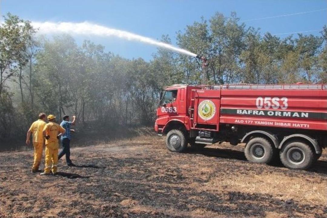 Bafra&rsquo;da Orman Yangını