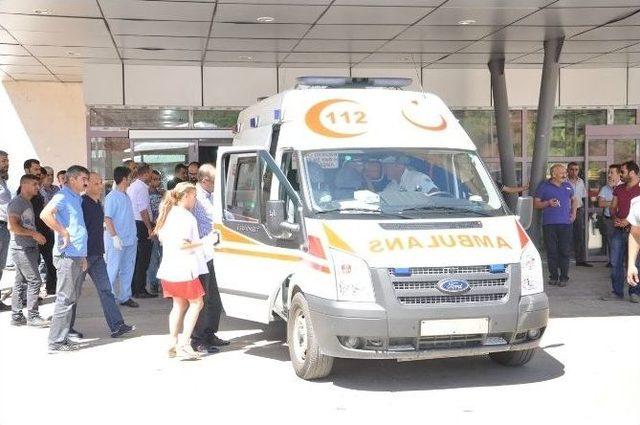 Tunceli’de Arazi Kavgası: 3 Yaralı