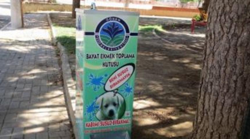Ekmek İsrafını &Ouml;nlemek İ&ccedil;in Kampanya Başlatıldı