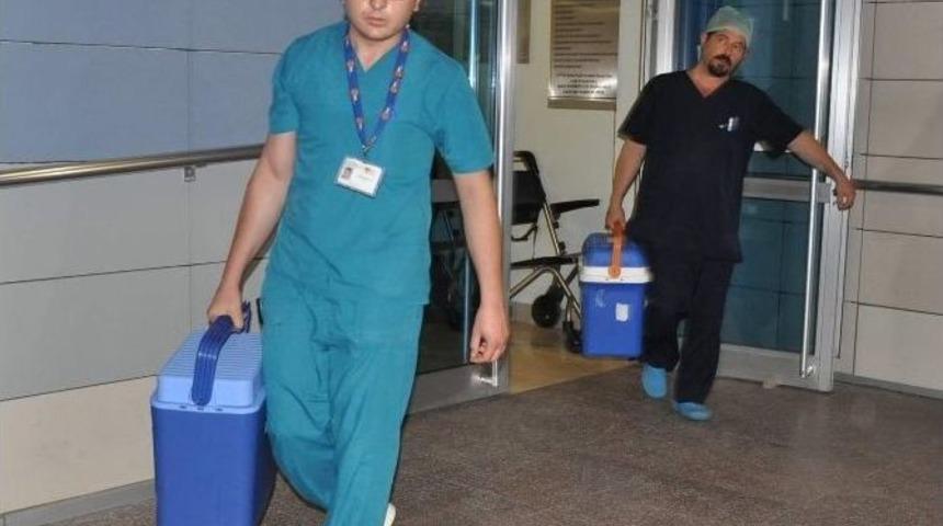 Organları 3 Kişiye Umut Oldu