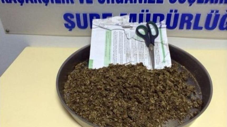 Yalova'da 6 G&uuml;nde 150 Bin Liralık Uyuşturucu Ele Ge&ccedil;irildi