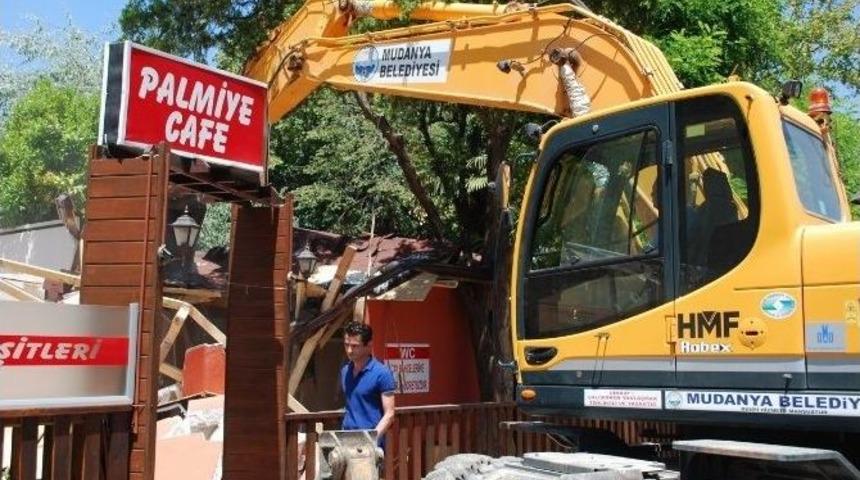 Mudanya'da Kaçak Çay Bahçeleri Yıkılıyor