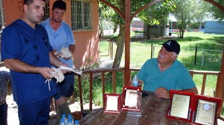 Hayvan Barınağında K&ouml;peklere İşkence İddiası