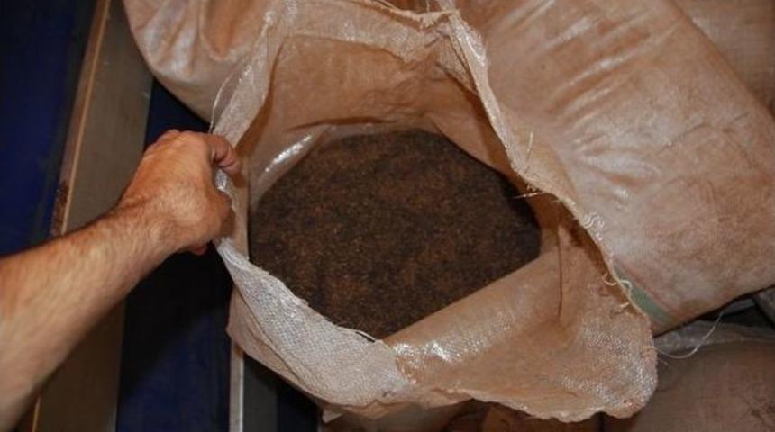 Yalova'da Ka&ccedil;ak &Ccedil;ay Operasyonu