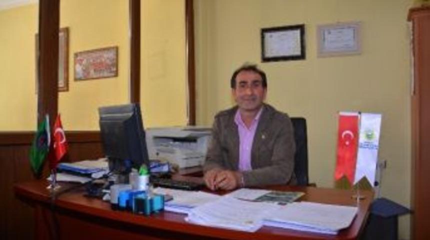 Giresun&rsquo;da Fındıktan Sonra Ceviz Ve Dut &Uuml;reticileri De Mağdur Oldu