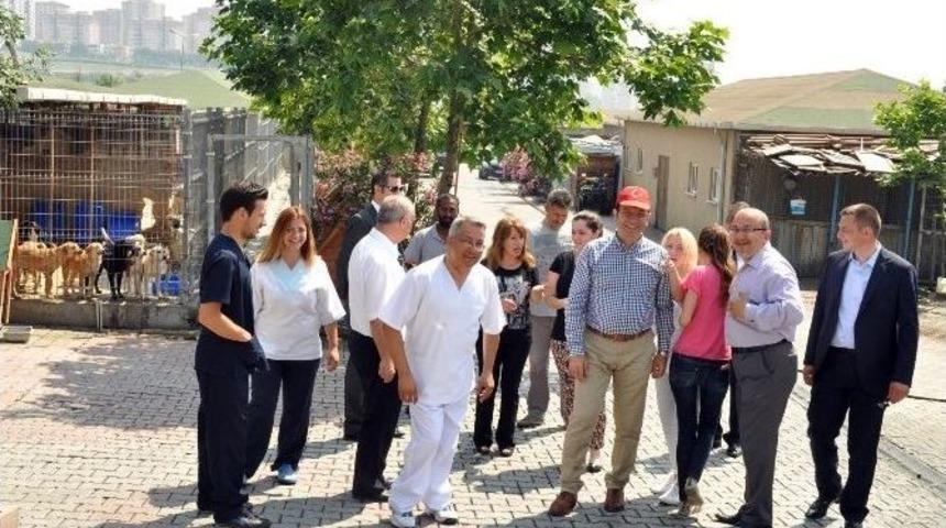 Beylikd&uuml;z&uuml; Belediyesi Hayvanları Koruma Altına Aldı