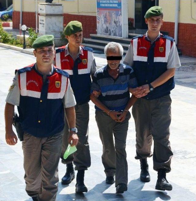 Şeftali Bahçesinde Esrar Operasyonu