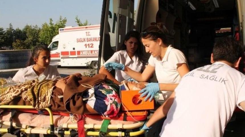 Kelebekler Vadisinde &Ouml;l&uuml;yordu