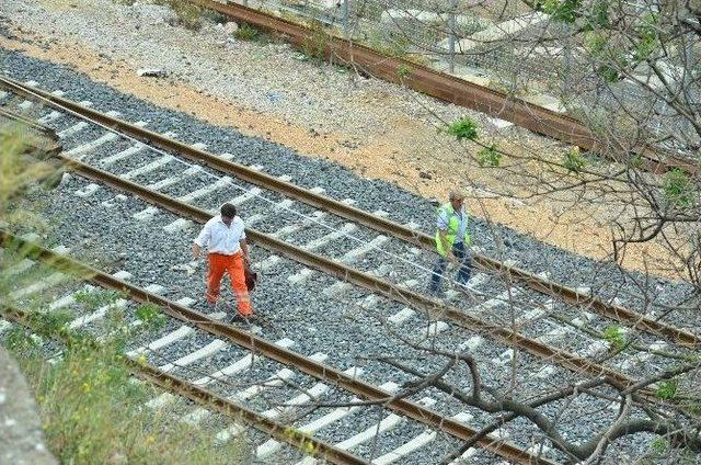 Yüksek Hızlı Tren Çalışmalarında Aksama Yok