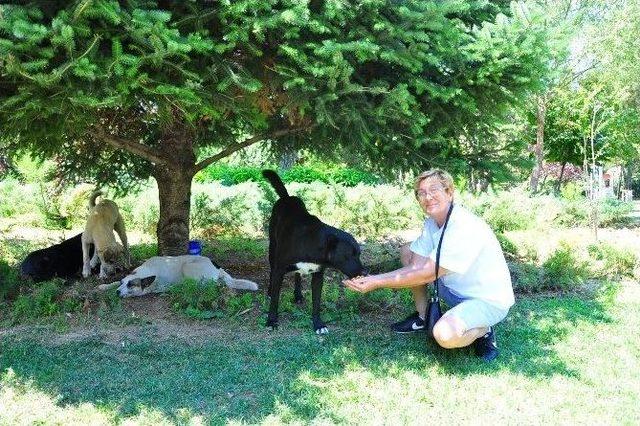 Hayvanseverden Belediyeye &Ccedil;ağrı 1