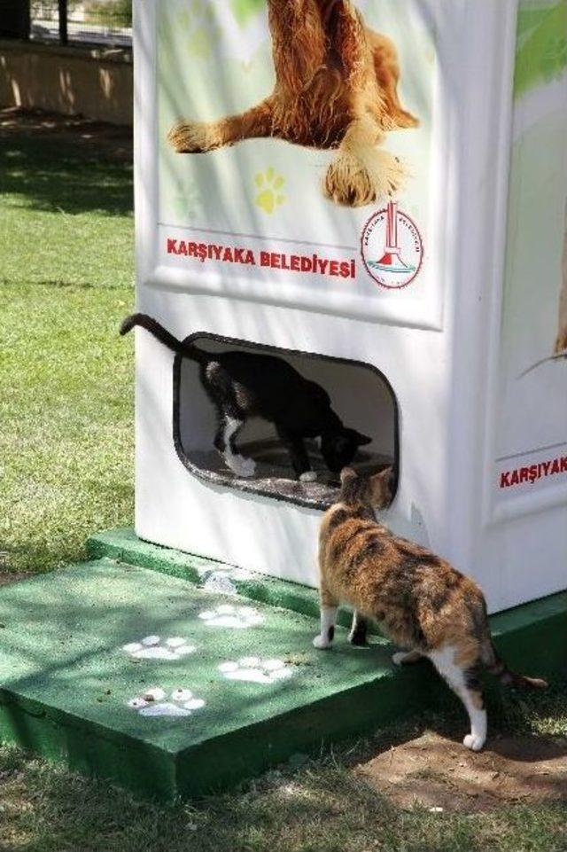 İzmir&rsquo;de Yine Bir İlk 2