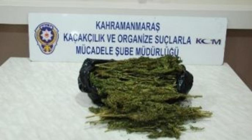 Kahramanmaraş&rsquo;ta Uyuşturucu Operasyonu