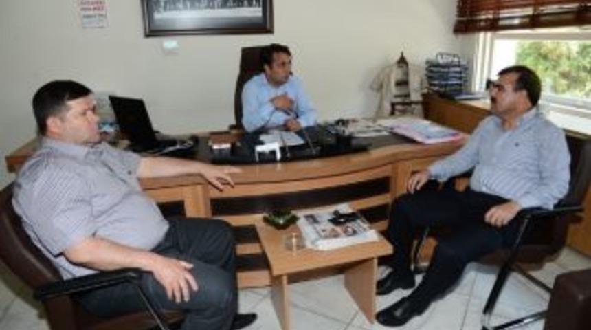 Karayandı, Sokak Hayvanları Sorununu &Ccedil;&ouml;zmeye Kararlı