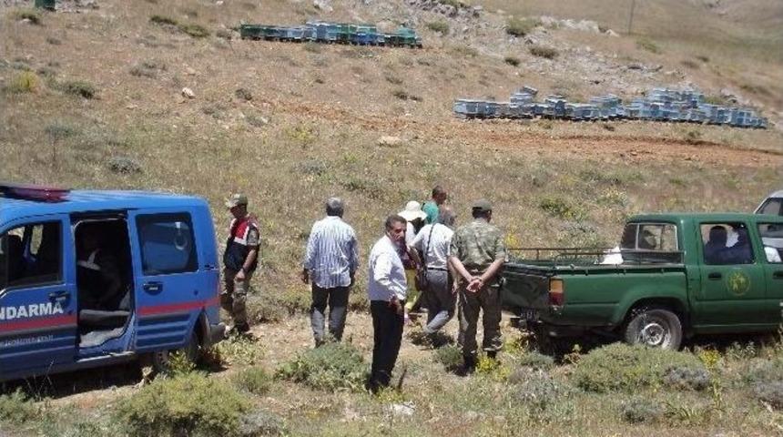 Arıcılık İhtilafı