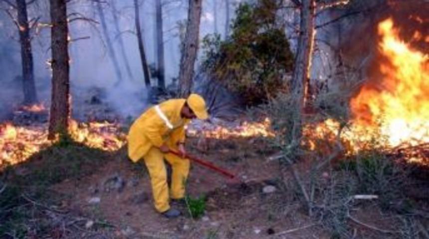 Yalova'da Orman Yangını Teyakkuzu