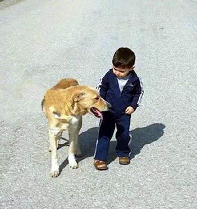 Aydın’da Barınak Hayvanları Yeni Yuvalar Arıyor