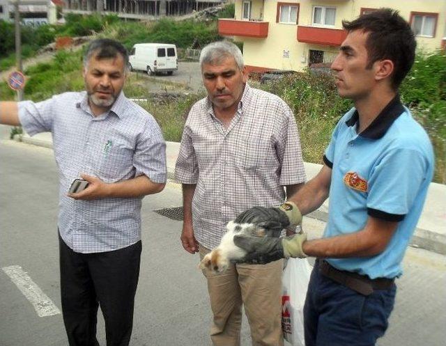 Tekerleğe Sıkışan Kediyi İtfaiye Ekibi Kurtardı