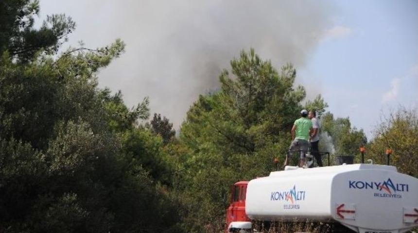 Antalya Konyaaltın'da Orman Yangını