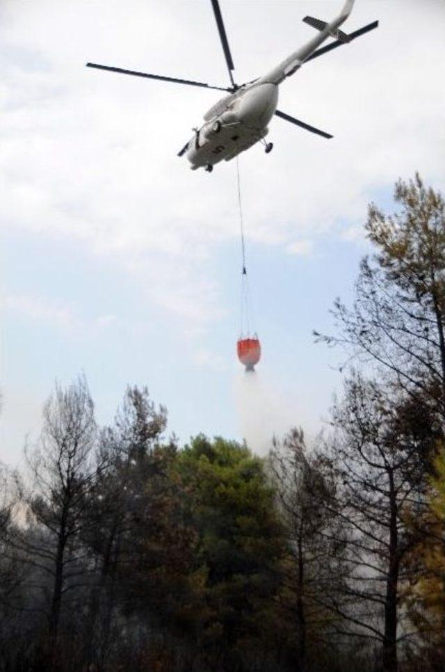 Antalya Konyaaltın'da Orman Yangını