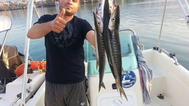 Tuttuğu Balıkları Dükkanının Önünde Sergiledi