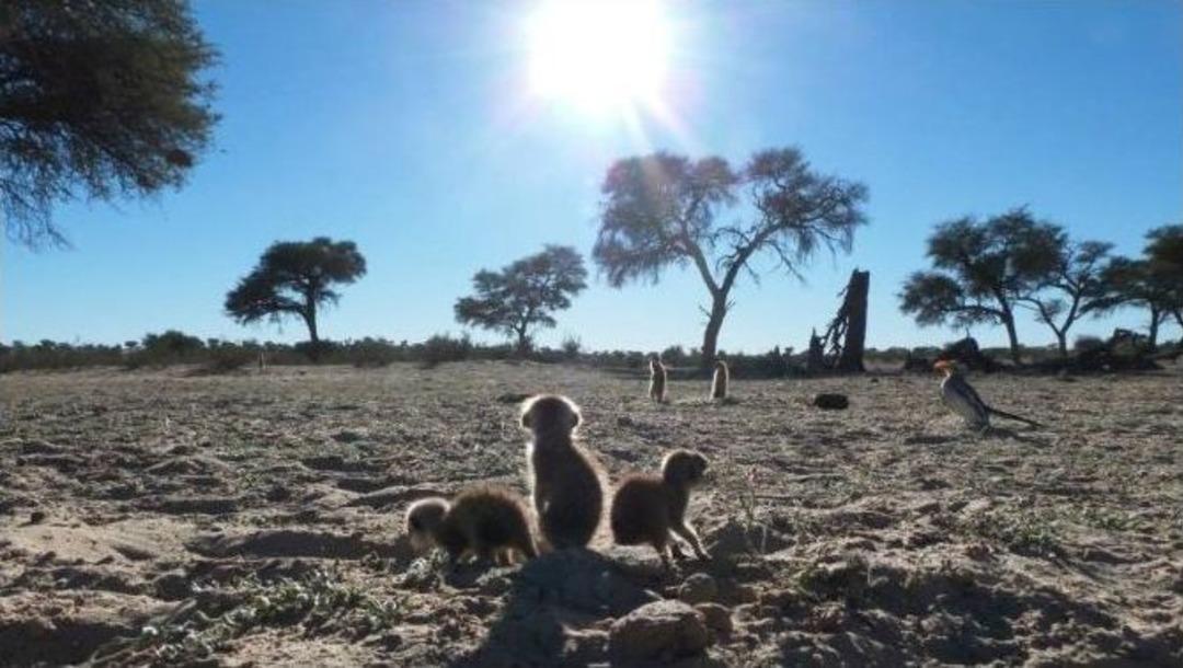Afrika &Ccedil;&ouml;l&uuml;&rsquo;nde İlk Ve Tek T&uuml;rk Bilim Kadını