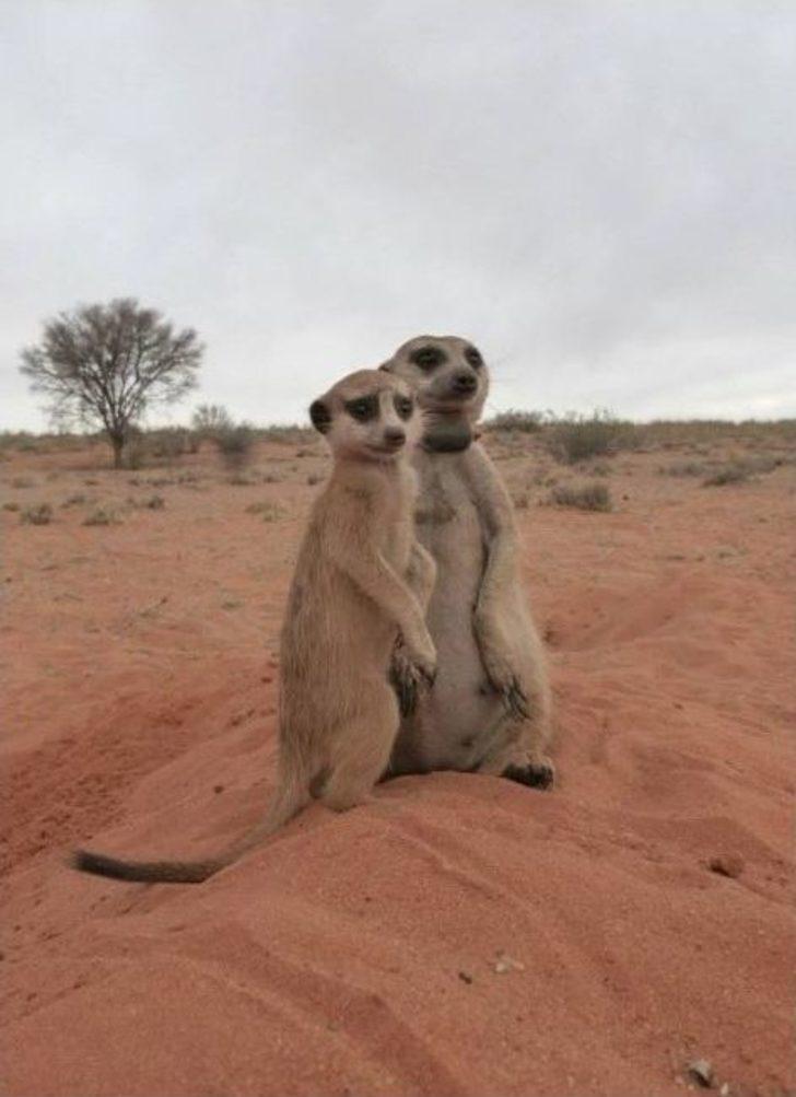 Afrika Çölü’nde İlk Ve Tek Türk Bilim Kadını G1