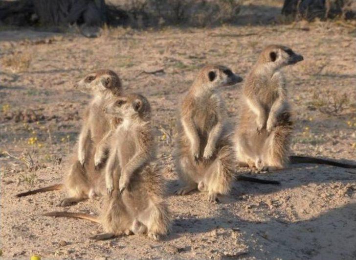 Afrika Çölü’nde İlk Ve Tek Türk Bilim Kadını G2