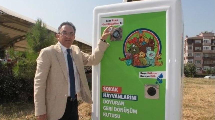 (&ouml;zel Haber) Sokak Hayvanlarına Akıllı Mamamatik