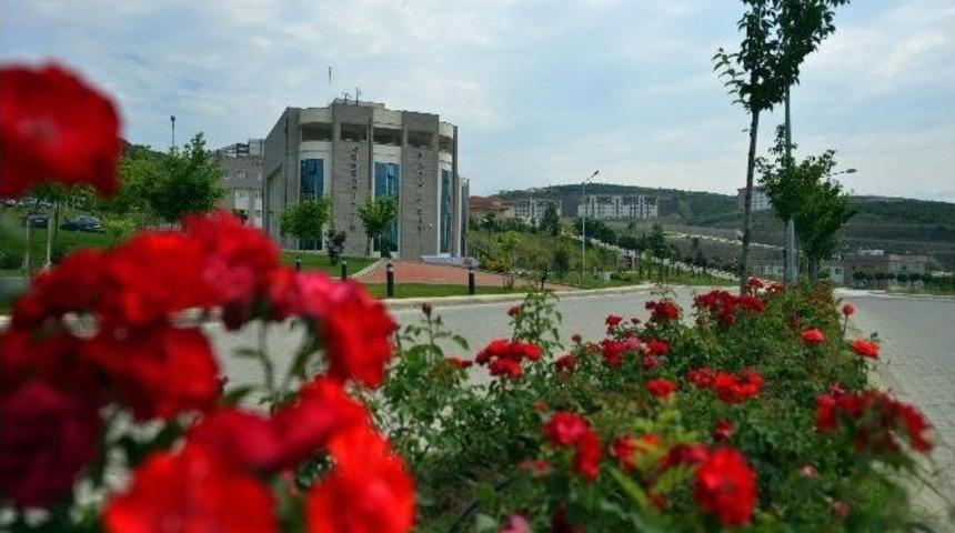 Yeşil D&uuml;zce&rsquo;ye Yeşil &Uuml;niversite