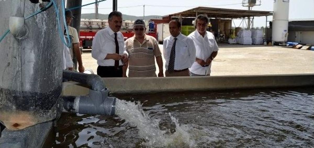 Vali Ayyıldız, Didim Ve S&ouml;ke&rsquo;de İncelemelerde Bulundu
