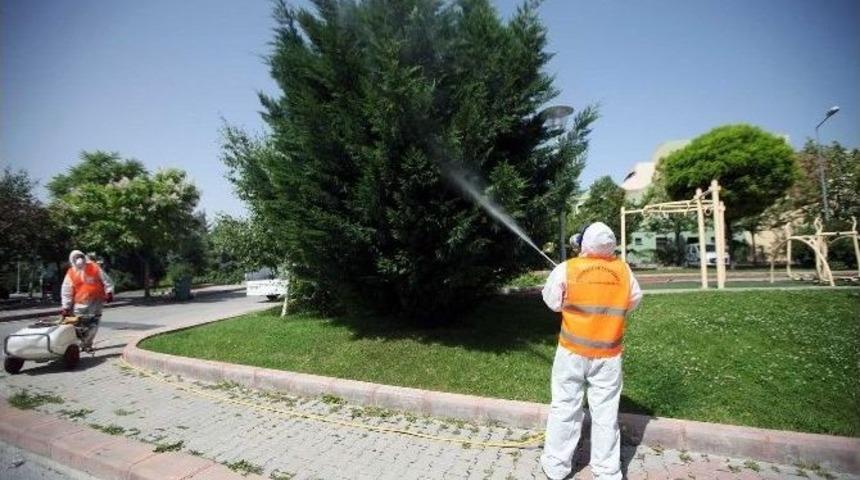 Yenimahalle Belediyesi Haşerelere Savaş A&ccedil;tı